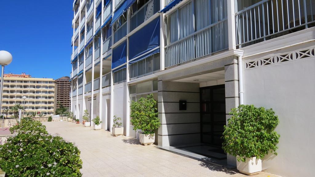 Halcon Levante Benidorm Chambre photo