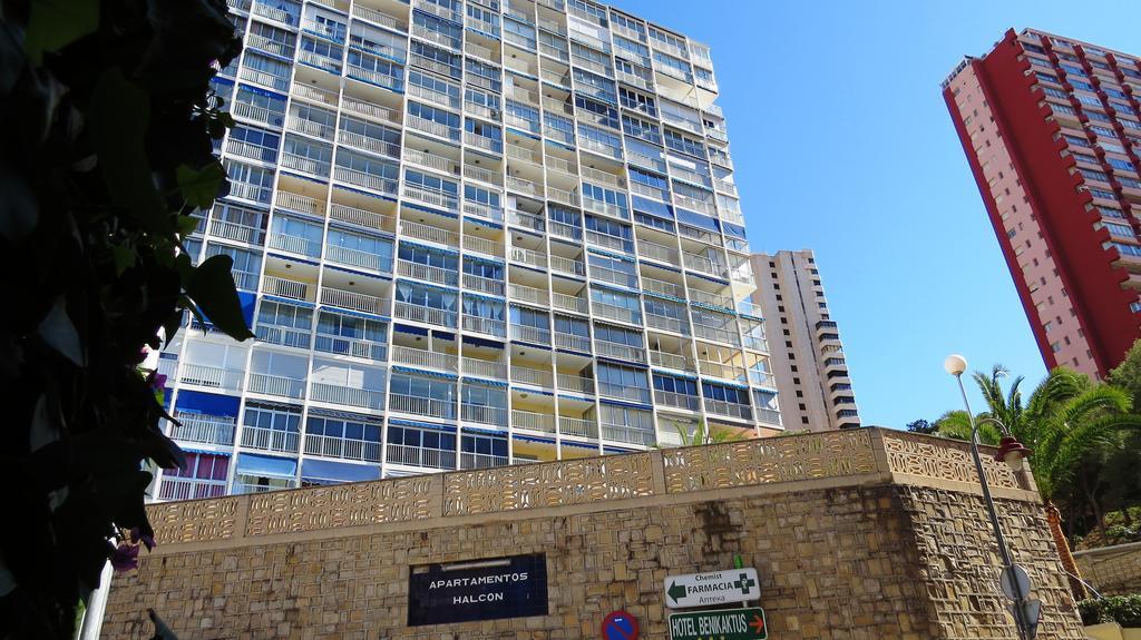 Halcon Levante Benidorm Chambre photo